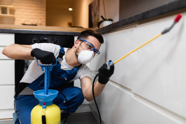 Best Affordable Pest Control Services  in Geronimo, OK