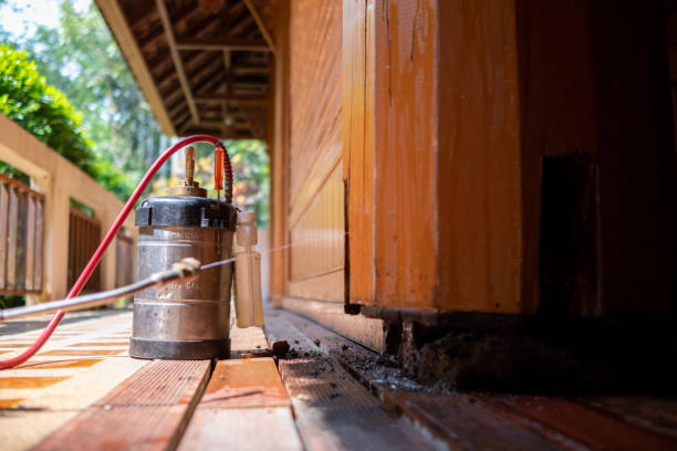 Best Best Pest Control Companies  in Geronimo, OK