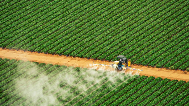 Best Pest Inspection Near Me  in Geronimo, OK