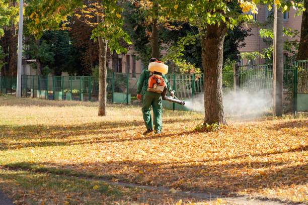 Pest Control for Restaurants in Geronimo, OK