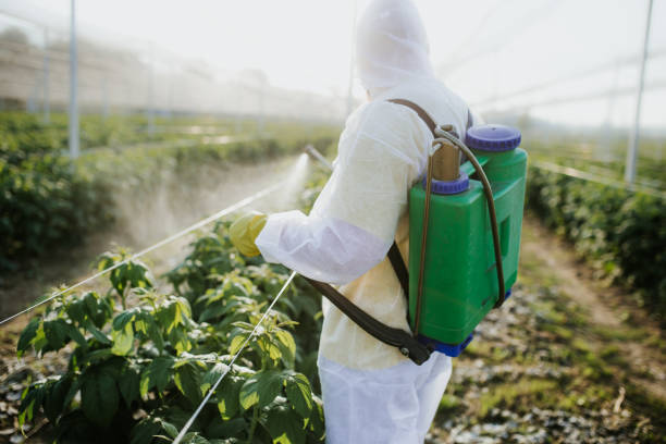 Trusted Geronimo, OK Pest Control Experts
